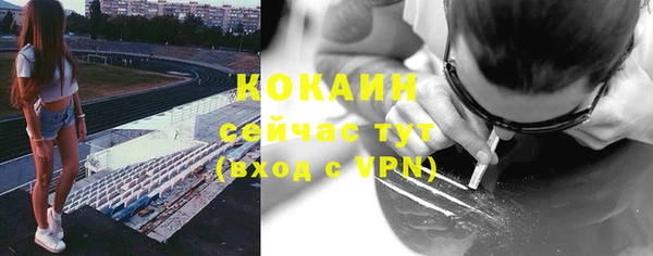 трава Осинники