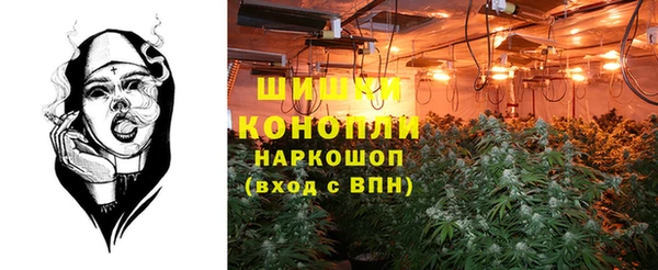 трава Осинники