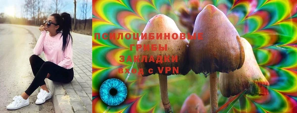 трава Осинники