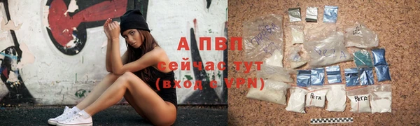 трава Осинники