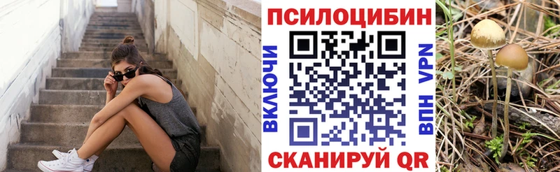 Псилоцибиновые грибы мухоморы  Купить закладки  Изобильный 